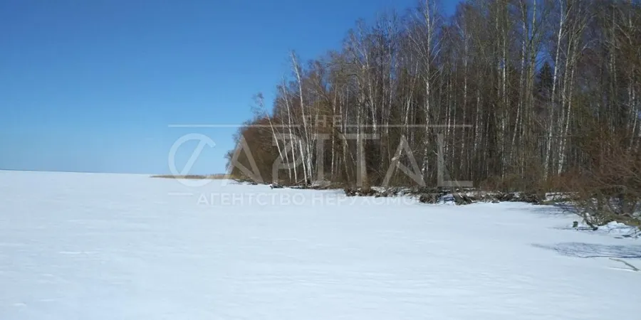 Продажа  земля сельскохозяйственного назначения Киевская обл., Вышгород, 